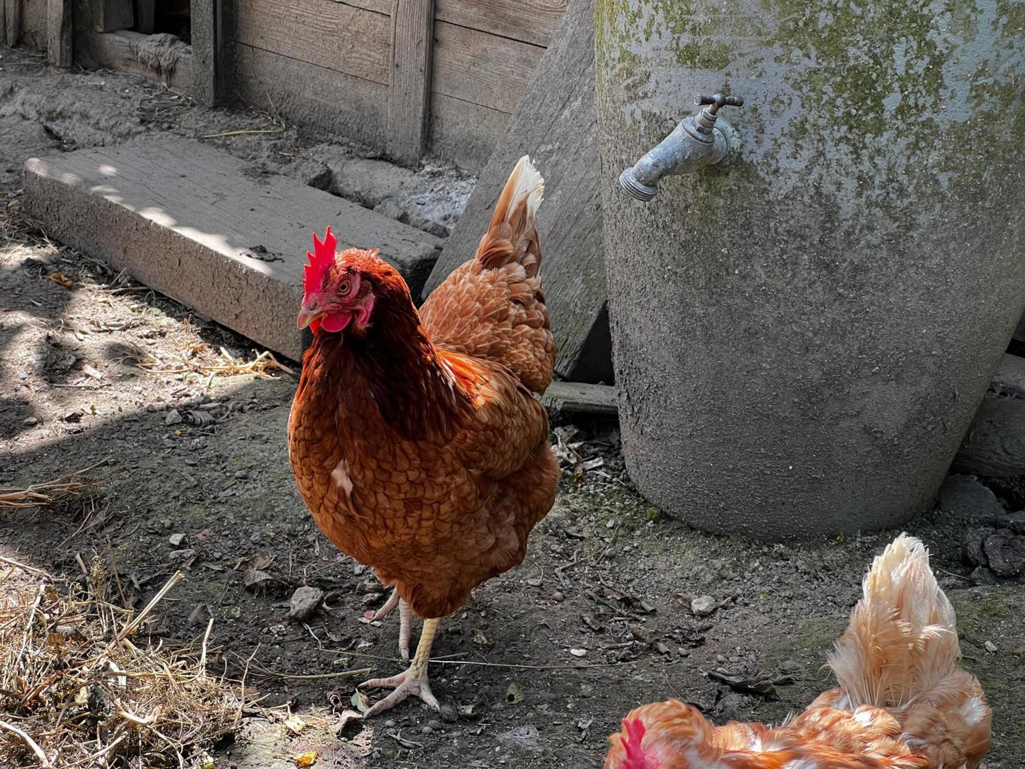Ligny-Thilloy A La Ferme De Thilloy Bed & Breakfast エクステリア 写真
